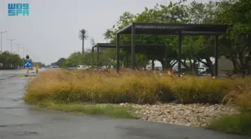 «طقس الأربعاء»: سحب ورياح في مكة.. الباحة تمطر حتى الجمعة ورعود في حائل – أخبار السعودية